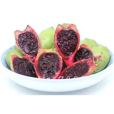 Promoción grande 100 semillas de Opuntia piezas raras higo chumbo de dulce de alta nutritous Cactus Semillas fruto comestible del jardín de flor de Bonsai 5