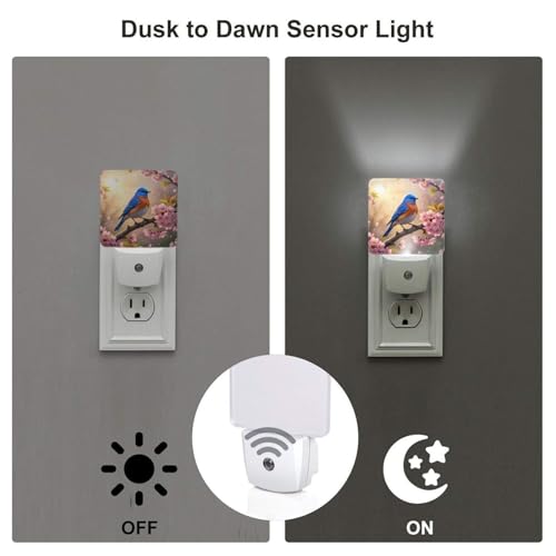 Image of Futterya Plug-in LED Night Light, Spring Florals Nature Cherry Blossoms Set of 2 Dusk-to-Dawn Auto Sensor Decor Lamp