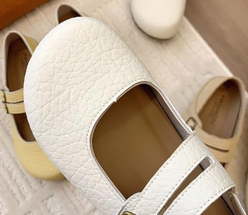 Women's Mary Jane Shoes Round Toe Casual Flats with Ankle Strap Comfortable Travel Commuting Shoes 20254