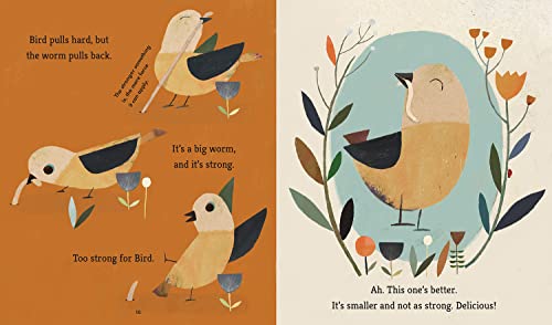 Bird Builds a Nest: A First Science Storybook (Science Storybooks) - Image 3