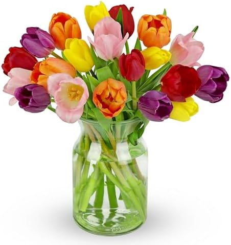 Benchmark Bouquets Rainbow Tulips – Birthday Flowers for Delivery – Fresh Tulips Bouquet for Mom – Birthday & Graduation Gifts for Women – Fresh Flowers – Glass Vase Included (20 Stems)