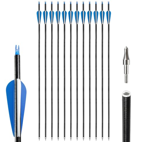12pcs Arrows 31-inches Fiberglass Arrows,Archery Target Practice Arrow spine 500 for Beginner's Recurve Bow