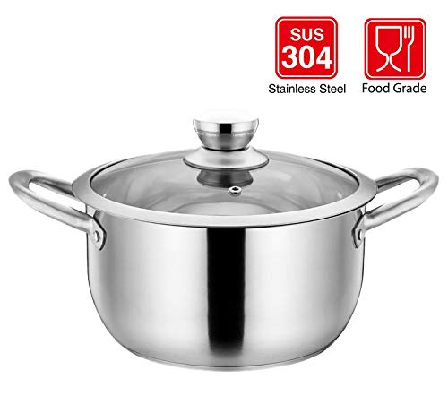 HYTX Stainless Steel 2-Piece 5-Quart Stock Pot with Tempered Glass Lid and Double