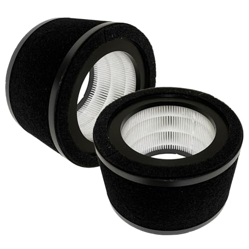 Filtre FLT4200 pour GermGuardian AC4200 | Pack de 2 filtres H13 True HEPA L