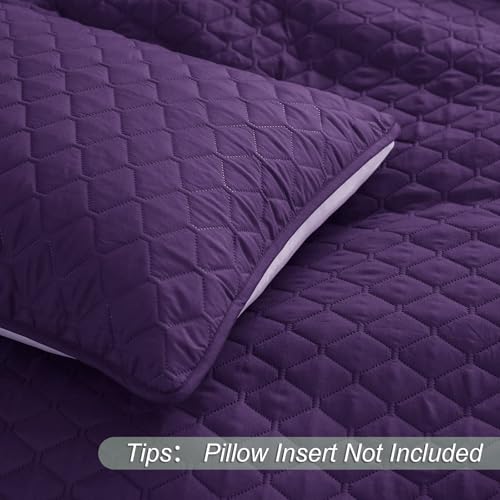 Exclusivo Mezcla Reversible King Size Quilt Bedding Set with Pillow Shams, Lightweight Quilts King Size, Soft Bedspreads Bed Coverlets for All Seasons - (Deep Purple, 104"x96")