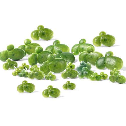 Skrfren 36 Stück Künstliche Wasserlinsen, Plastik Aquarium Schwimmpflanzen Teich KüNstliche EntengrüTze Pflanzen Dekoration Mit Wurzel Für Fischtank Aquarien