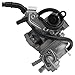 Caltric Carburetor Compatible with Honda ATC125 ATC-125 ATC125M ATC 125M 1984 1985