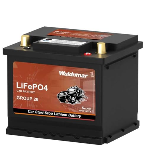Wuldnmar BCI Group 26 LiFePO4 Lithium Car Battery 12.8V 600A Start-Stop System Lightweight Left Negative Right Positive