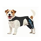 Pawfun Dog Knee Brace for Torn ACL CCL– Adjustable Dog Rear Leg Support Brace with 4 Metal Stabilizers, Helps with Luxating Patella, Ligament Injuries & Hip Dysplasia,XS