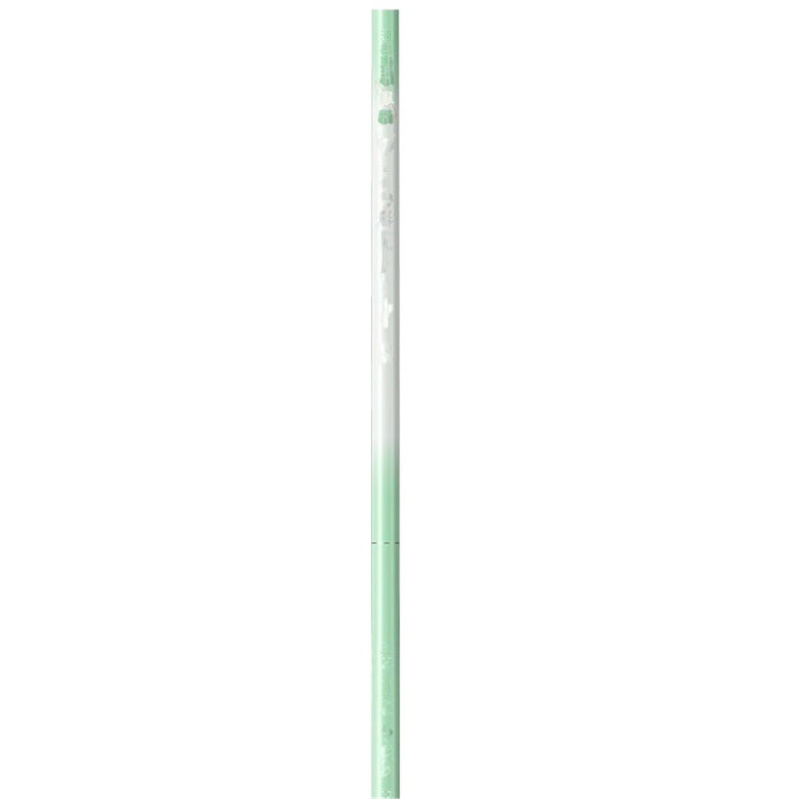 canna da pesca Attrezzatura da pesca con canna d'acqua dolce for carpa crucian telescopica for principianti