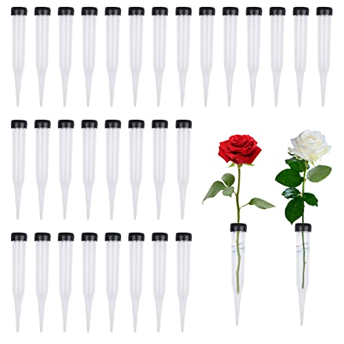 RNHDLY 30Pcs Flacon Fleur Transparent en Plastique avec Capuchon en Silicone - Tube à Eau pour Compositions Florales et Gâteau