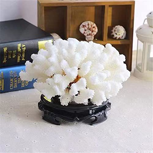 Pack de 2 Corales Blancos Decorativos de Resina miniatura 6