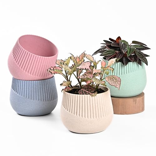 Image of Eha Earth Friendly Oreo 4 inch Small pots for Indoor Plants | Set of 4 | Plant Pot Made with Bamboo Fibers | Table Top Planters for Home Decor and Office, Flower Pot for Living Room | Multi-Light