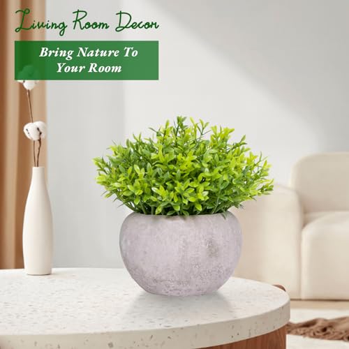 Small Fake Plants for Bathroom Shelf Decor, Mini Artificial Plants Indoor Fake Succulent Grass Desk Plant for Office Women Coffee Table Decor Fake Potted