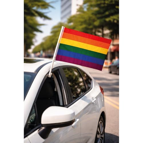 All Pride Products: Banderas duraderas que no se destiñen ni se rompen al sol 2