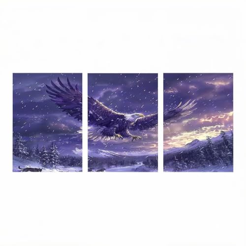 Kit Broderie Point de Croix Strass Peinture Diamant 50x75cm Grand Format 3er