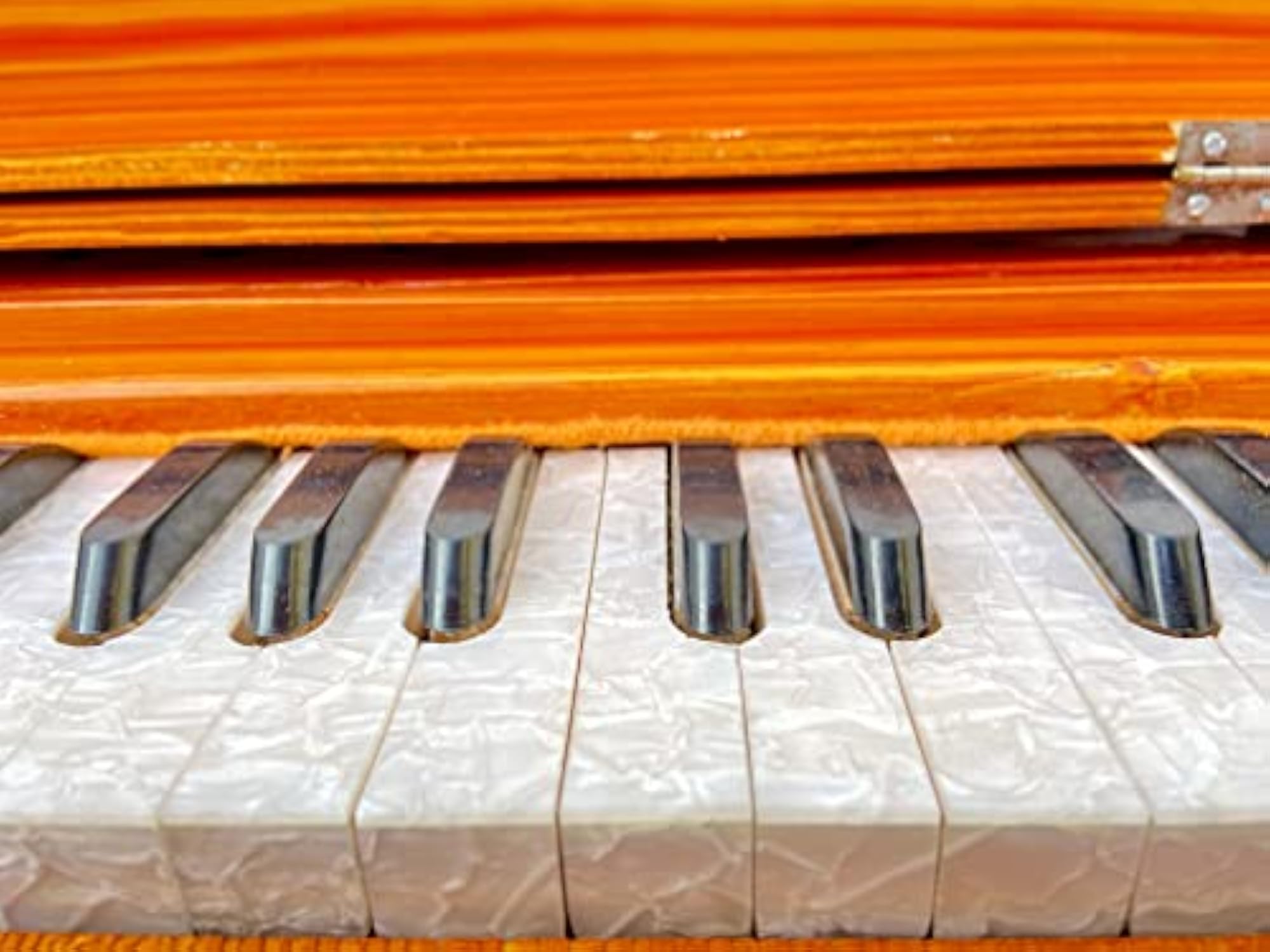 Harmonium for Beginners and Professionals, 39 Keys, 2 Reeds