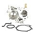 DNJ TBK719AWP Timing Belt Kit with Water Pump for 2006-2011 Subaru Forester Impreza 2.5L H4 16V SOHC 2458cc