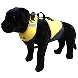 First Watch Marine Flotation Dog Vest - Hi-Visibility Yellow - Medium