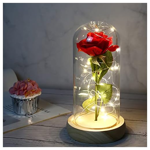 Dream Loom Die Schöne und die Biest Rose, Ewige Rose in Transparente Kuppel,Geschenk für Muttertag, Jubiläum, Geburtstag, Valentinstag, Zimmer Dekor
