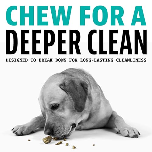 Image of Dinovite Dental Chews for Dogs, Triple Action Dental Dog Treats for Large Breeds, Clinically Proven to Prevent Plaque & Tartar While Freshening Breath, Fresh Mint Flavor, Made in USA, 16 Count