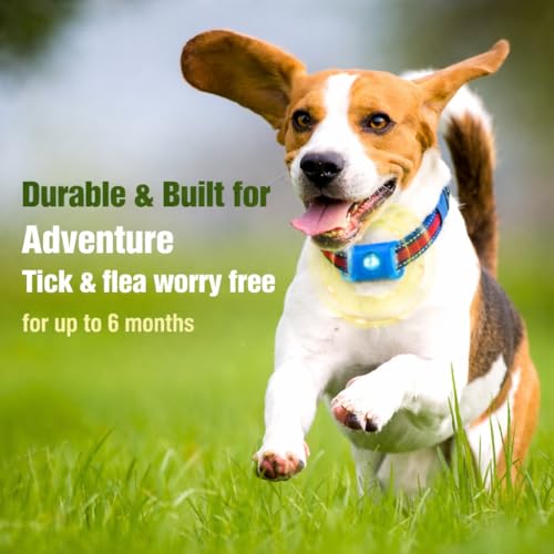 Image of FurLife Flea & Tick Protection Pet Tag - Waterproof Collar Pendant for Dogs & Cats | Safe & Lightweight for All Breeds - (Blue)