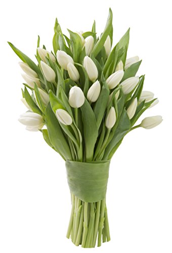KaBloom-30 White Tulip Bouquet,Flowers for Valentine, Mother's Day