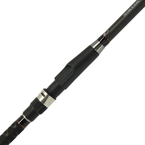 Welsrute 2 x Waller Rute 3 Meter 200g + Rolle BM 7000 mit Schnur (Fischrute Rolle Combo, Spinning, Schwarz, Silber, Rot, 3 Meter, Monofilament)