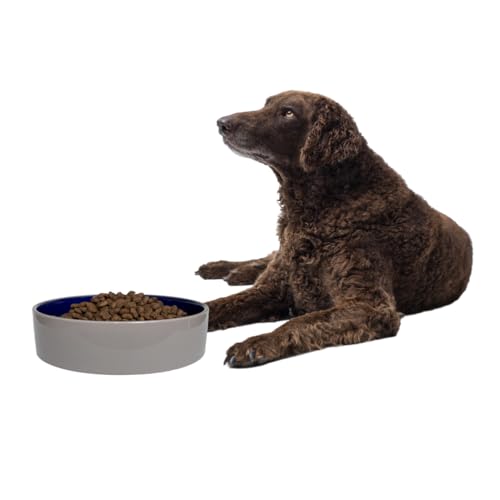 Ethical Spot Keramik-Napf aus Steingut, für mittelgroße und große Hunde, klassisch, robust, rutschfest, Keramiknapf für Futter und Wasser, 24,1 cm Durchmesser