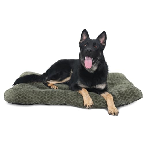 Necesitar ��^���p�N���[�g�x�b�h 42�C���` ����\ �\�t�g�łӂ�ӂ�̌��p�}�b�g �P�[�W�p �ő�90�|���h �y�b�g�� �N���[�g�^�C���v�����g �I���[�u�O���[��