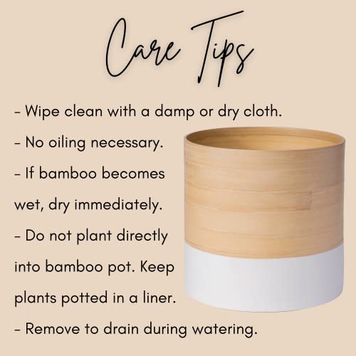 Habitas Plant Pots For Indoor Plants - Modern Planter Style Made From Bamboo. Includes Large (10 Inch Plant Pot), Medium (8") And Small (6") Planters For Indoor Plants. No More Plastic Flower Pots. #TOP4