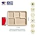 JOLLY CHEF Compostable 𝟱 Compartment 𝟭𝟭 * 𝟴 𝗶𝗻𝗰𝗵 Paper Plates [𝟭𝟬𝟬 𝗣𝗮𝗰𝗸] Heavy Duty Small Natural Divided Eco-Friendly Biodegradable Food Trays for Party Lunch Dinner Christmas