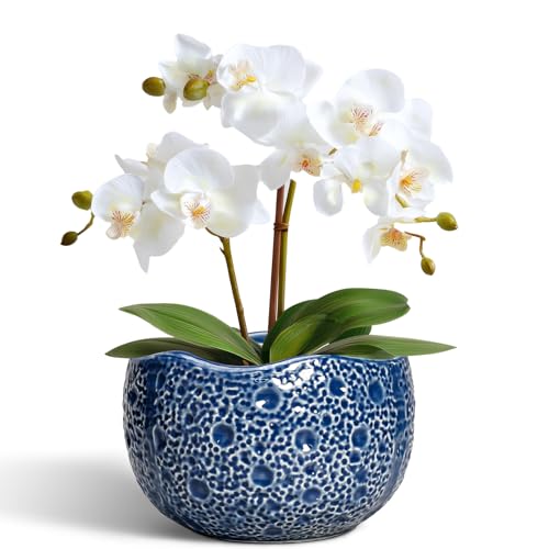 Thirtypot Orchid Pot 6" Ceramic Plant Pot with Drainage Blue