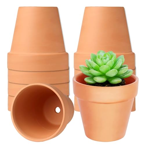 10 Piezas Macetas Terracota Pequeñas con Orificio Drenaje, Barro Mini Reutilizables 10x8 cm, Maceteros Decorativas Exterior Interior para Suculentas, Casas Cactus, Enteras, Plantas Plántulas