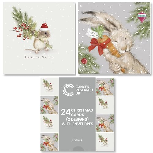 Cancer Research UK Box of 24 Charity Christmas Cards - 2 Designs - Titch and Humphrey Duo