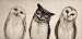 Shakaka The Owls 3 Canvas Wall Art For Home Decoration Canvas Print - 16x 12