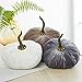 Your Heart's Content 9 Inch Velvet Pumpkin, Handmade Fall Home Decor, Fall Wedding Centerpiece, Rustic Halloween Thanksgiving Decor, Modern Farmhouse Chic Home Decoration (Ivory)