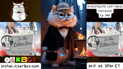 INVESTIGATE LEFT-WING VIOLENCE | In the Litter Box w/ Jewels & Catturd – Ep. 880 9/12/2025 Podcast Por arte de portada