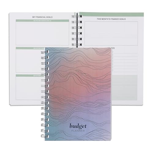 Inspired by Erin Condren Budget Planner