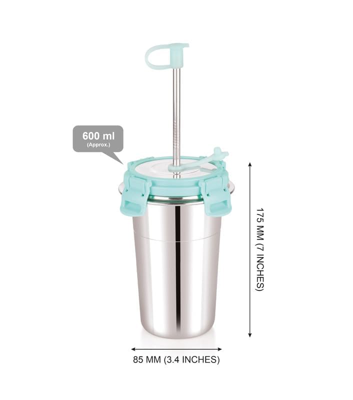 Image of Stainless Steel Fusion Glass Tumbler with Stainless Steel Metal Straws and Cleaning Brush with Steel Lid (SIP Easy 600ML)