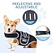 Furtent Dog Back Brace for IVDD and Mobility Support, Medium Harness for Post-Surgery Recovery and Stiff Joints (M)