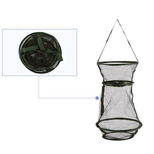 BESPORTBLE 25 cm, rede de pesca, armadilha dobrável para pesca, gaiola de pesca, cesta de pesca para