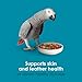 Kaytee Forti-Diet Pro Health Nourish+Protect Parrot Food, Comprehensive Nutrition Backed by Science, Digestive Health, Immune Support, 5 pounds