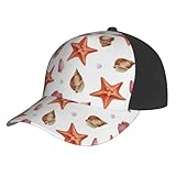 Novastar