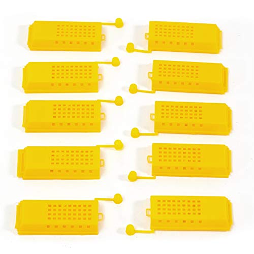 BEEComb Imker 10er Set Bienen Versand- und ZUSETZKÄFIG Kunststoff, 8x3,6 cm | Praktischer Aufzuchtbecher, Bienenkiste, Transportbox, Bienenkönigin Käfig Cover