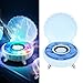 Shell Speaker, LED Seashell Small Bluetooth Speaker, Mini Portable Bluetooth Speakerwith 7 Ambient Lights, Mini Bluetooth Shower Speaker, Bluetooth Music Player for Home (Blue)