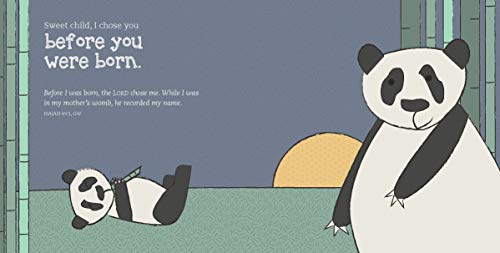 Chosen: Claiming Your Kingdom Purpose (Generation Claimed) - Image 3