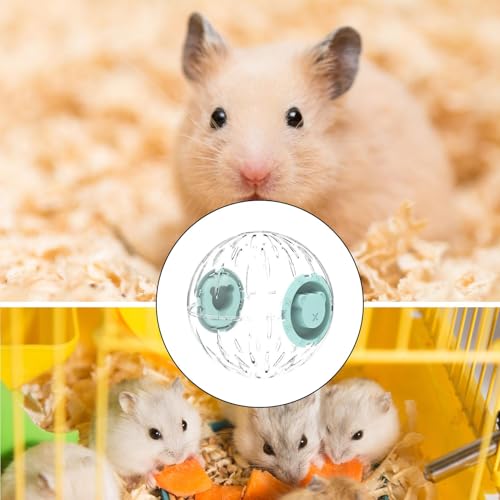 Roue de compagnie stable pour hamster avec structure safe anti-stress