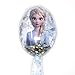 LUV HER Disney Frozen II Girls Snowflake Confetti One Hair Brush featuring Elsa, Silver - Ages 3+