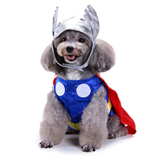 Disfraz para perro XL con sombrero para Halloween miniatura 4